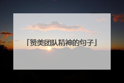 赞美团队精神的句子