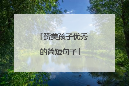 赞美孩子优秀的简短句子