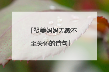 赞美妈妈无微不至关怀的诗句