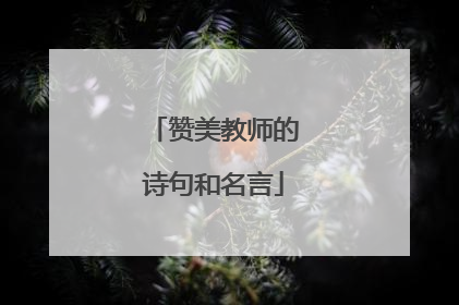 赞美教师的诗句和名言