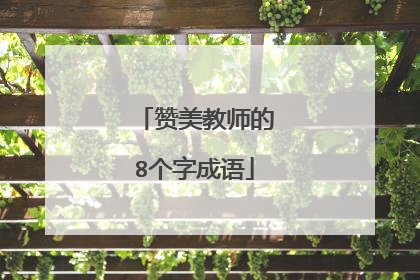 赞美教师的8个字成语