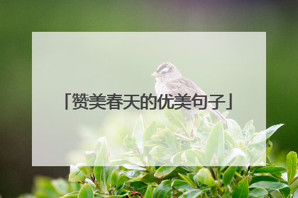 赞美春天的优美句子