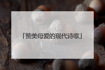 赞美母爱的现代诗歌