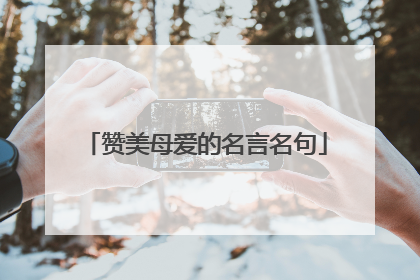 赞美母爱的名言名句