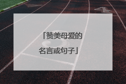 赞美母爱的名言或句子