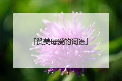 赞美母爱的词语