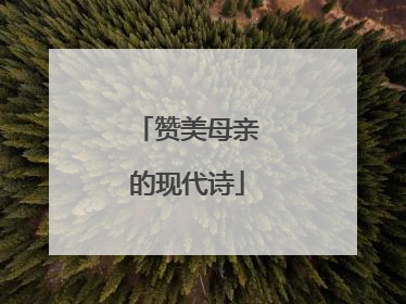 赞美母亲的现代诗