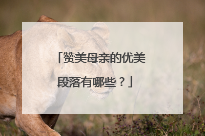 赞美母亲的优美段落有哪些？
