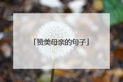 赞美母亲的句子