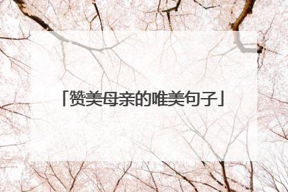 赞美母亲的唯美句子