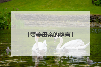 赞美母亲的格言