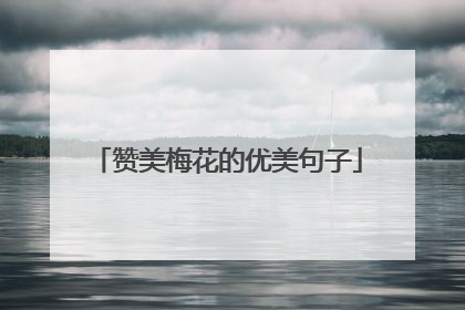 赞美梅花的优美句子