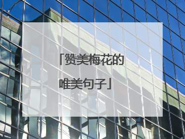 赞美梅花的唯美句子