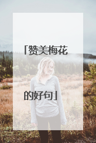 赞美梅花的好句