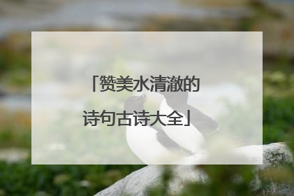赞美水清澈的诗句古诗大全