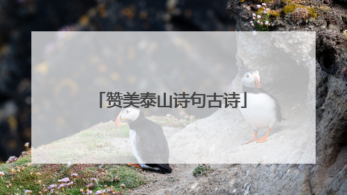 赞美泰山诗句古诗