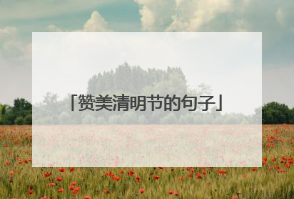 赞美清明节的句子
