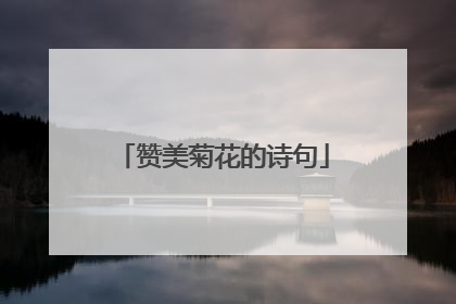赞美菊花的诗句