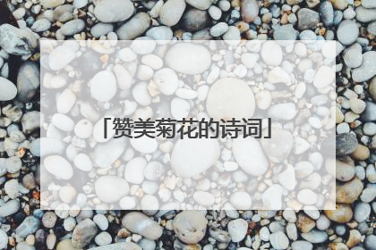 赞美菊花的诗词