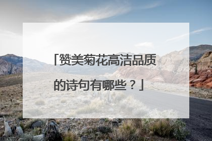 赞美菊花高洁品质的诗句有哪些？