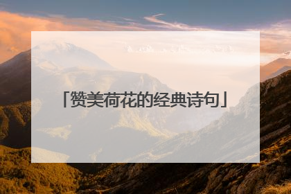 赞美荷花的经典诗句