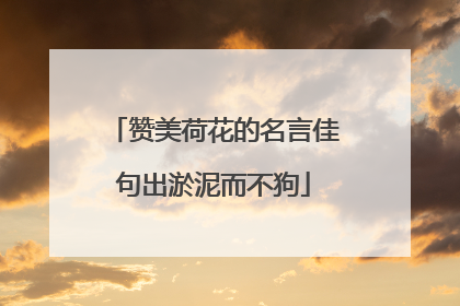 赞美荷花的名言佳句出淤泥而不狗