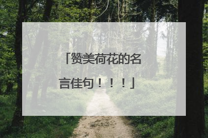 赞美荷花的名言佳句！！！