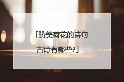赞美荷花的诗句古诗有哪些?