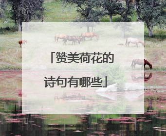 赞美荷花的诗句有哪些