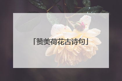 赞美荷花古诗句