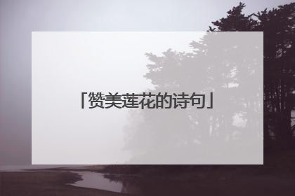 赞美莲花的诗句
