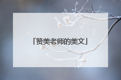 赞美老师的美文