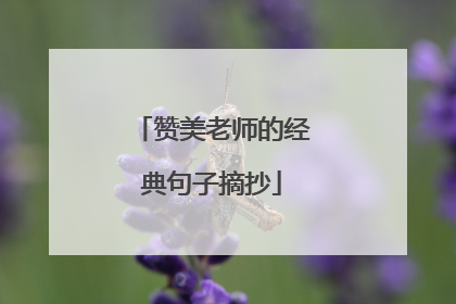 赞美老师的经典句子摘抄