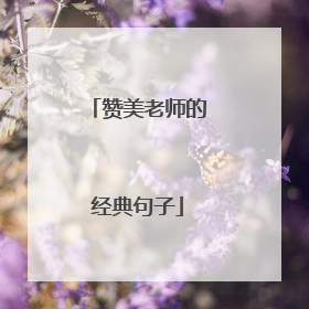 赞美老师的经典句子