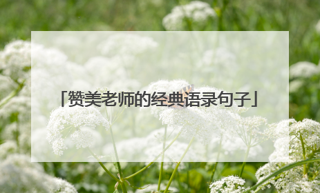 赞美老师的经典语录句子