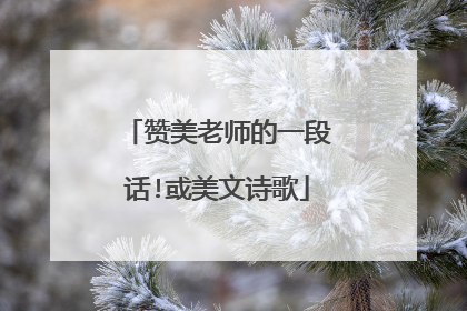 赞美老师的一段话!或美文诗歌