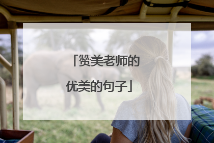 赞美老师的优美的句子