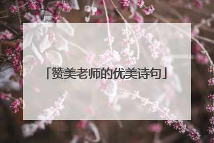 赞美老师的优美诗句