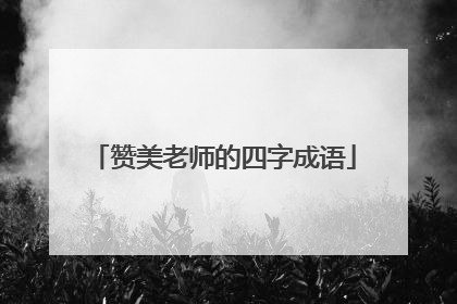 赞美老师的四字成语