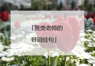 赞美老师的好词佳句