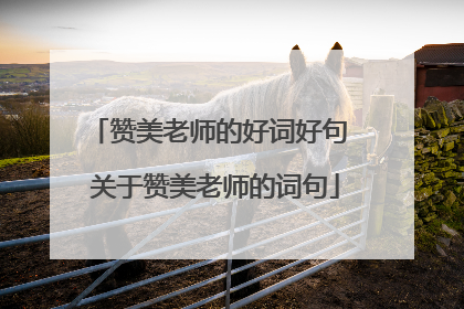 赞美老师的好词好句 关于赞美老师的词句