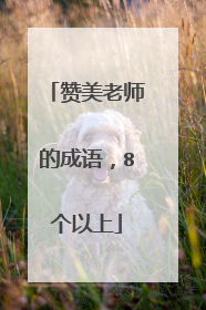 赞美老师的成语，8个以上