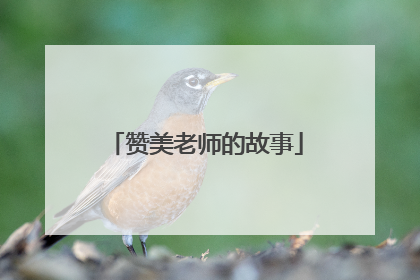 赞美老师的故事