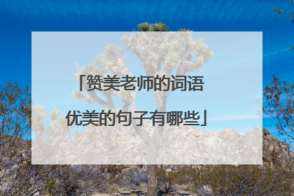 赞美老师的词语 优美的句子有哪些