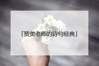 赞美老师的诗句经典
