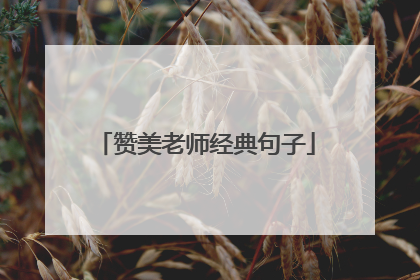 赞美老师经典句子