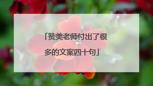 赞美老师付出了很多的文案四十句