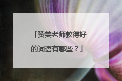 赞美老师教得好的词语有哪些？