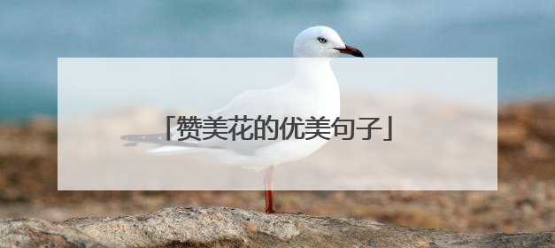 赞美花的优美句子