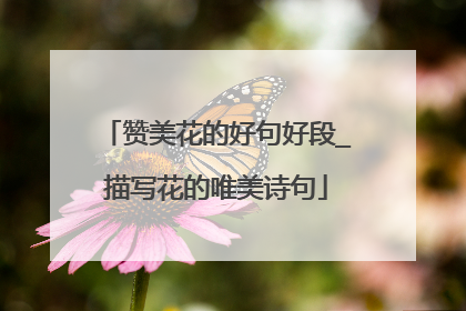 赞美花的好句好段_描写花的唯美诗句
